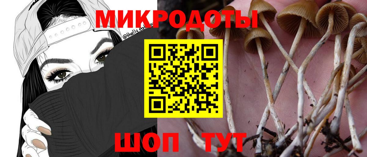 Великий Новгород  Псилоцибиновые грибы Psilocybine cubensis  хочу наркоту  Вход с VPN  Псилоцибиновые грибы Magic Shrooms 